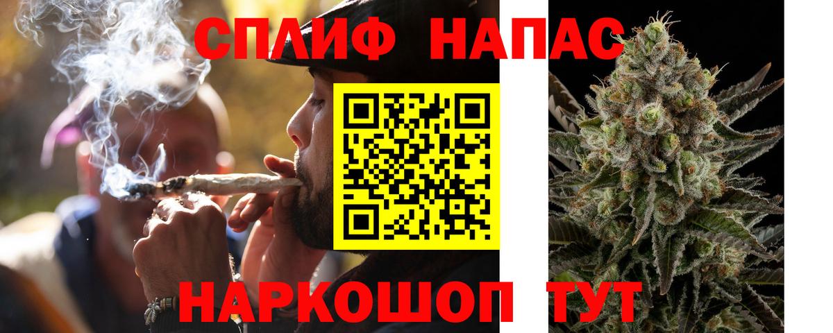 Бошки Шишки индика Гусиноозёрск